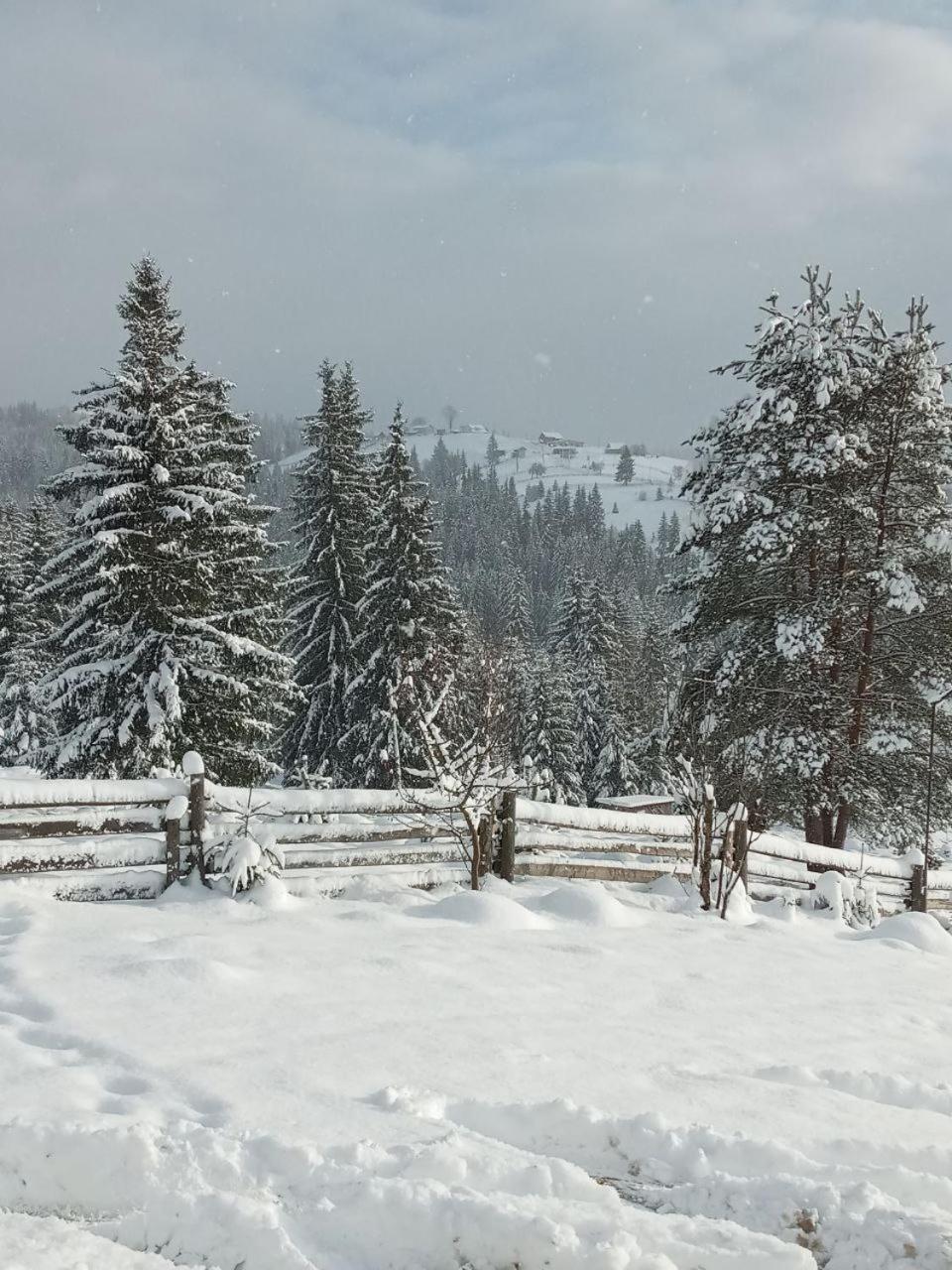 Котеджі Зоряне Небо Bukovel Esterno foto