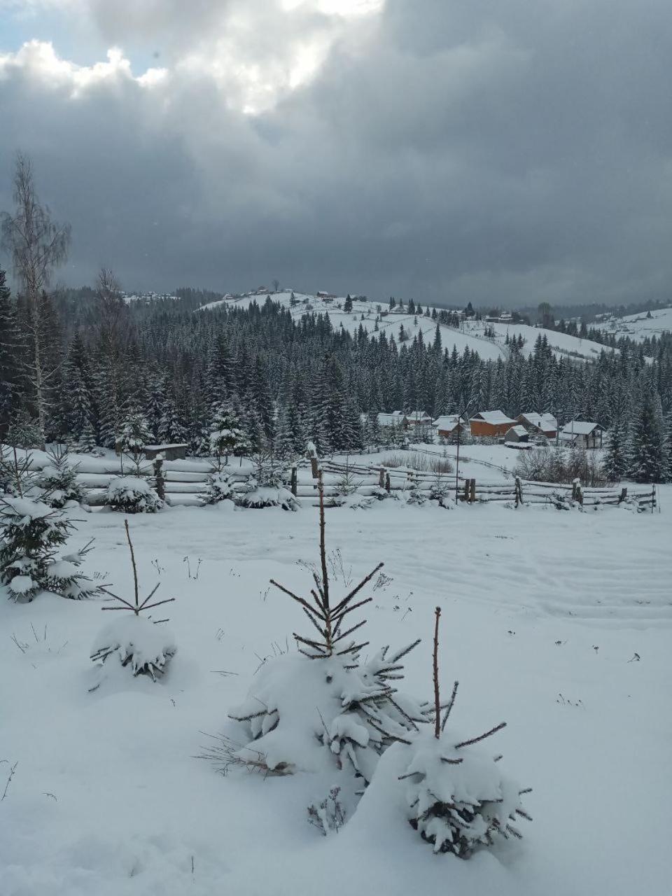 Котеджі Зоряне Небо Bukovel Esterno foto